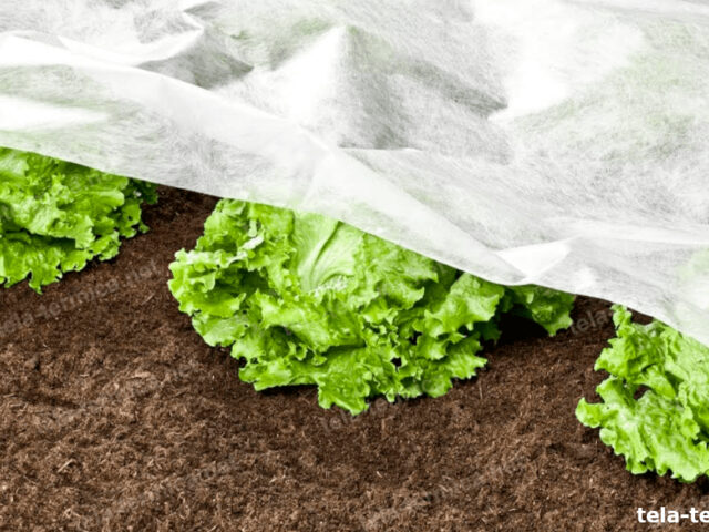 malla anti heladas